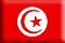 Newspapers in Tunisia