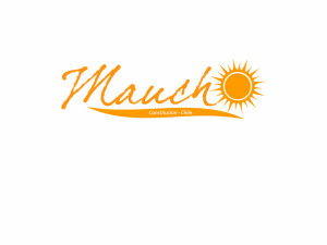 El Maucho de Constitucion - home page