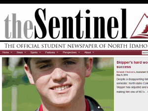 The Sentinel - home page